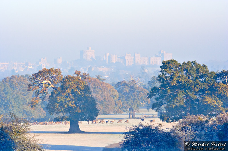 IMAGE: http://galleries.oomz.net/pub/051119/S/20051119102203.jpg